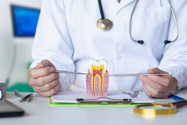 Best Emergency Tooth Extraction in Seyur, MO